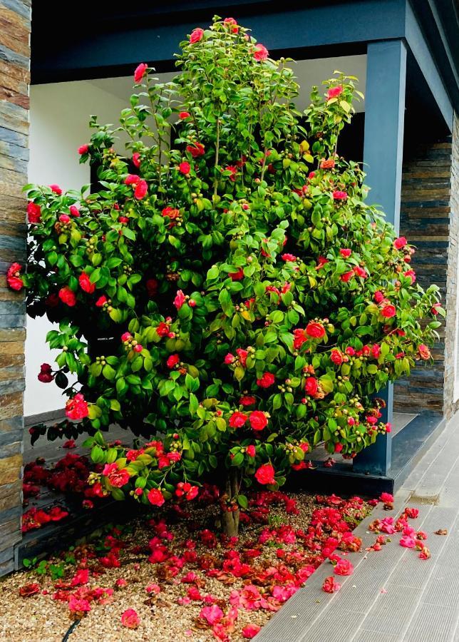 Quinta Do Portal Guest House Bespeira Exterior foto